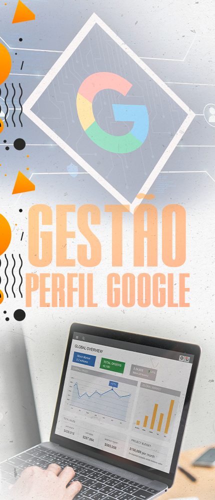 Gestão de Perfil Google